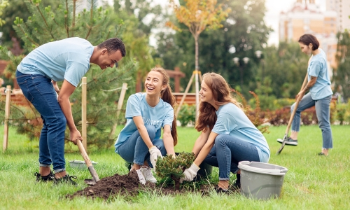 Volunteers planting trees