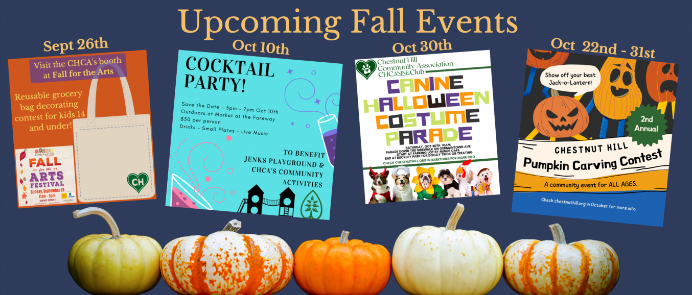 Home Chestnut Hill Community Association