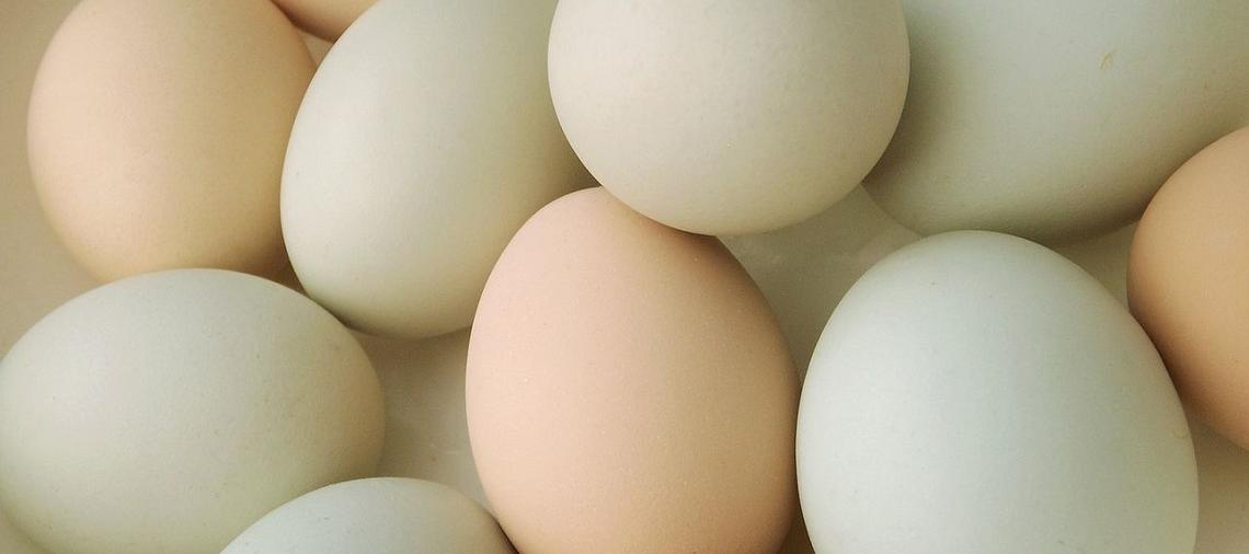 Grand Ledge Farmers Market