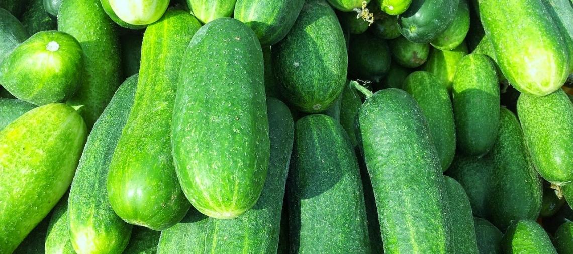 Grand Ledge Farmers Market