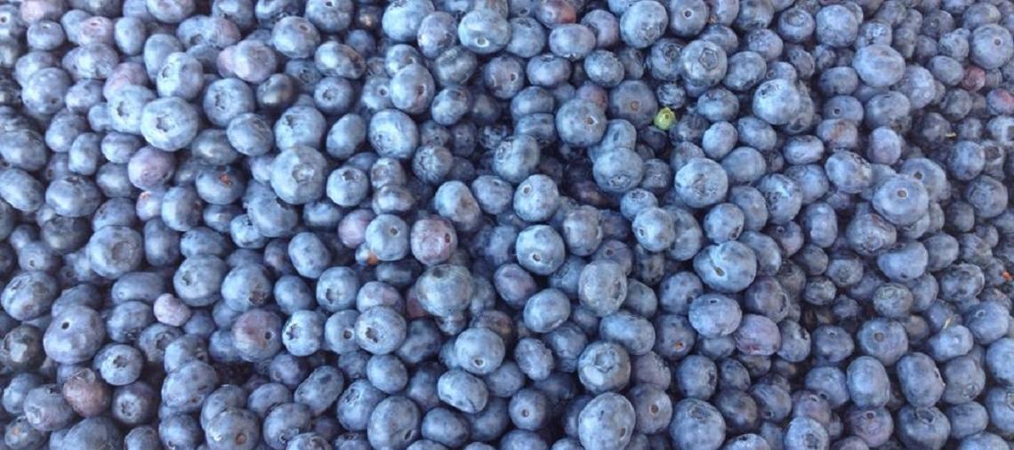 Grand Ledge Farmers Market