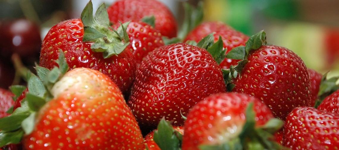 Grand Ledge Farmers Market